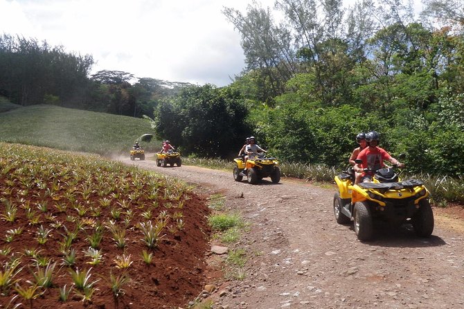 Grand Tour Quad Excursion in Moorea (Single or Two-Seater) - What the trail feels like in practice