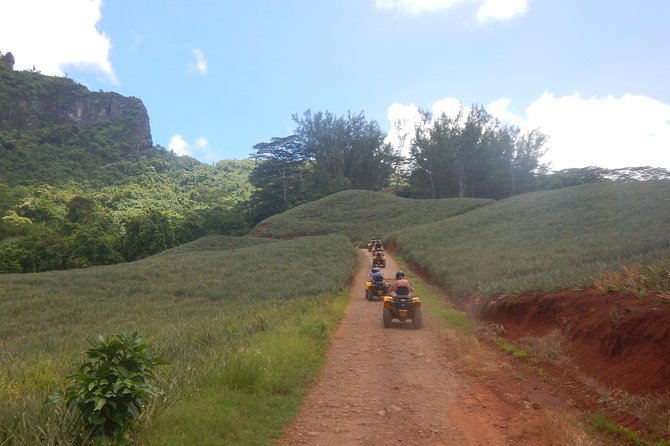 Grand Tour Quad Excursion in Moorea (Single or Two-Seater) - The guides shape the quality of the day