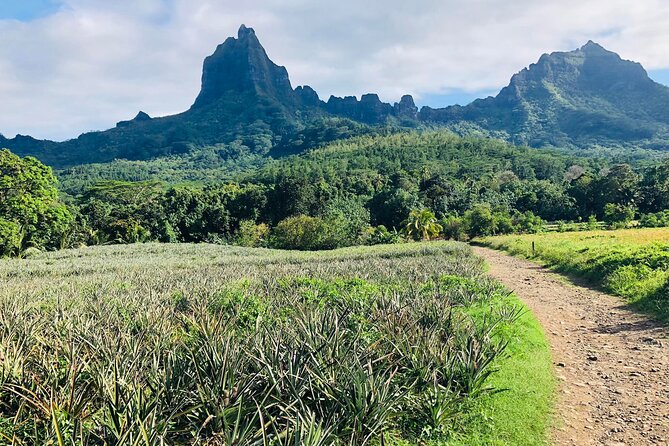 Guided Excursion in 4x4 in Moorea between Land and Sea - Magic Mountain gives you the first big view