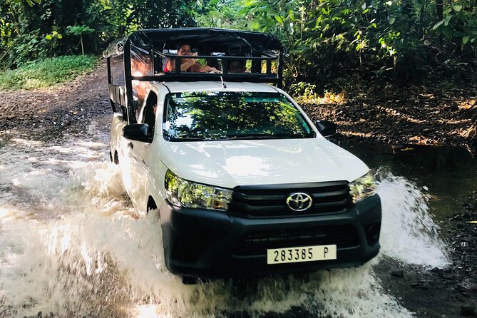 Guided Excursion in 4x4 in Moorea between Land and Sea - Timing, meeting point, and comfort notes