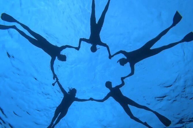 Guided Small Group Whale Watching and Swim Tour Tahiti - Swimming with whales, only when the conditions are right