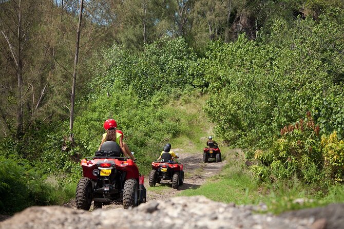 Guided Tour of Bora Bora by Quad - Anau and the eastern reef view