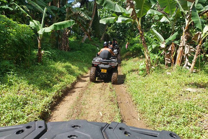 Guided tour of the island and its escapades in Tahaa by Quad / ATV - Marae Vaima’i adds a cultural layer