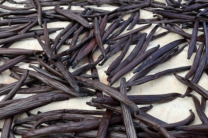 Guided tour of the island of Tahaa with Revanui Excursions - Vanilla first: seeing Tahaas most famous crop