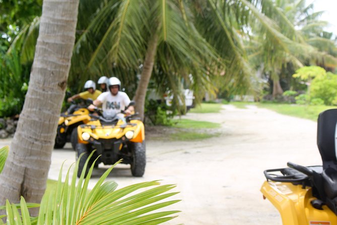 Guided tour of the island of Tahaa with Revanui Excursions - Lunch on a private motu