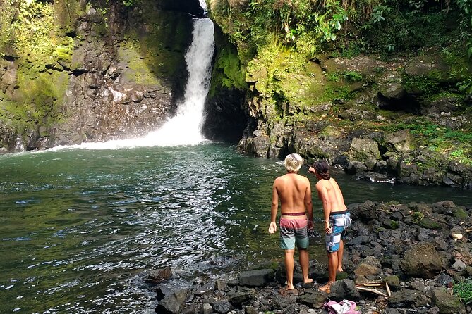 Guided Tour to Primeval Crystal Waters of Samoa - Why this Upolu tour works so well