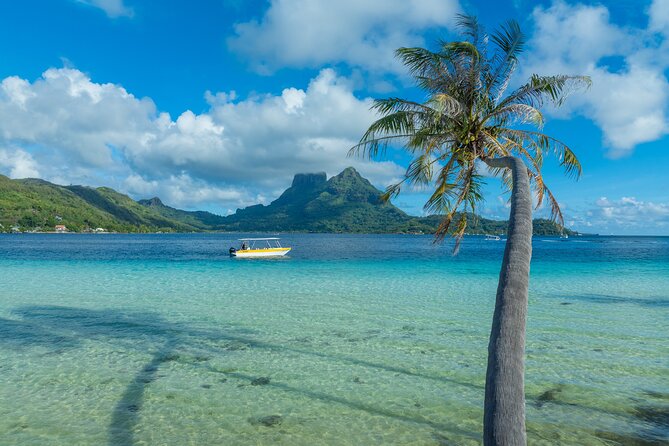 Half a day to discover Bora Bora with O-sea - Key points to know before booking