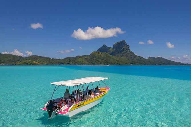 Half a day to discover Bora Bora with O-sea - Snorkeling in the coral garden