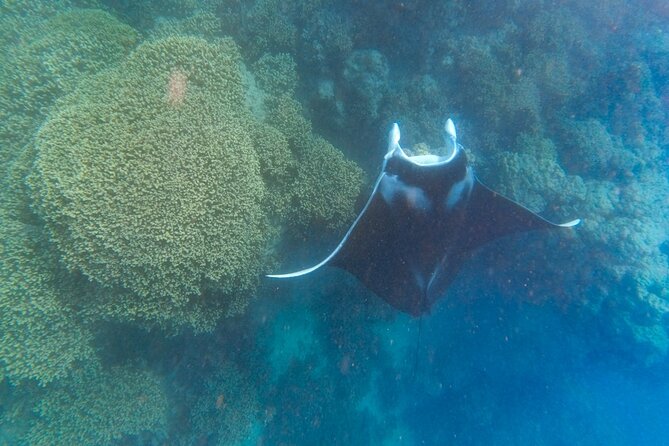 Half a day to discover Bora Bora with O-sea - Stories, language, and the feel of the tour