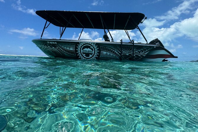 Half day Eco Snorkeling small group Tour in Bora Bora - What this three-hour Bora Bora outing is really like