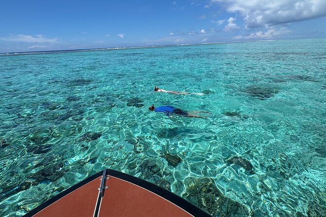 Half day Eco Snorkeling small group Tour in Bora Bora - The coral garden stop