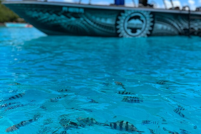 Half day Eco Snorkeling small group Tour in Bora Bora - Guides who add value