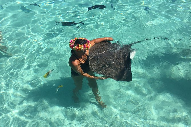 Half day Excursion, Drift Snorkeling Lagoon Adventure. 3H - Key points to know before you book