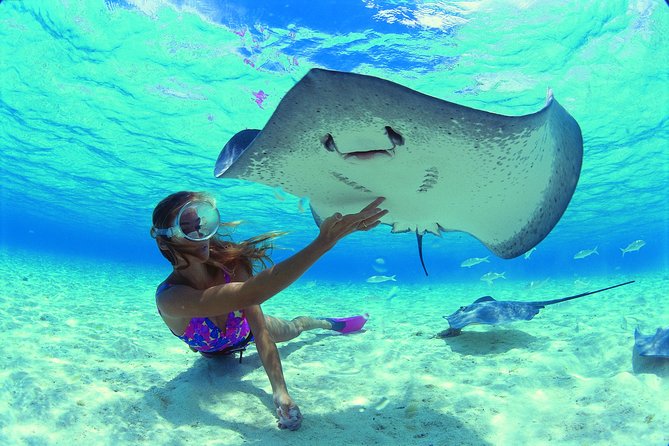 Half day Excursion, Drift Snorkeling Lagoon Adventure. 3H - Moorea’s lagoon from a shaded boat