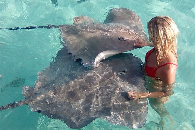 Half day Excursion, Drift Snorkeling Lagoon Adventure. 3H - Is $91.24 a good value?
