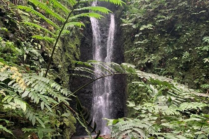 Half-Day Guided Hike to Afareaitu Waterfall - Afareaitu Valley: More Than a Walk to a Waterfall