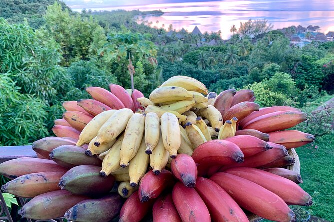 Half-Day Guided Hike to Afareaitu Waterfall - Fresh Fruit in a Private Tropical Garden