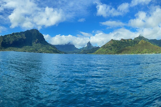 Half-Day Humpback Whales Encounter in Moorea - Key things to know before booking