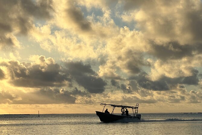Half-Day Humpback Whales Encounter in Moorea - Swimming with whales, only when conditions are right