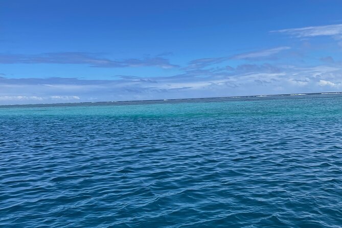 Half-Day Humpback Whales Encounter in Moorea - What you might see from the boat