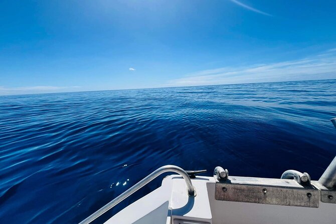 Half-Day Humpback Whales Encounter in Moorea - Respect for the whales is more than a slogan