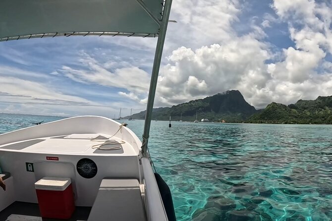 Half-Day Humpback Whales Encounter in Moorea - Who should book this Moorea whale encounter?