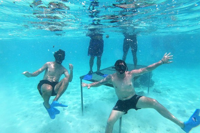 Half-Day Muri Lagoon BBQ Lunch Cruise including Snorkeling - Muri Lagoon begins with drums and a short walk to the water