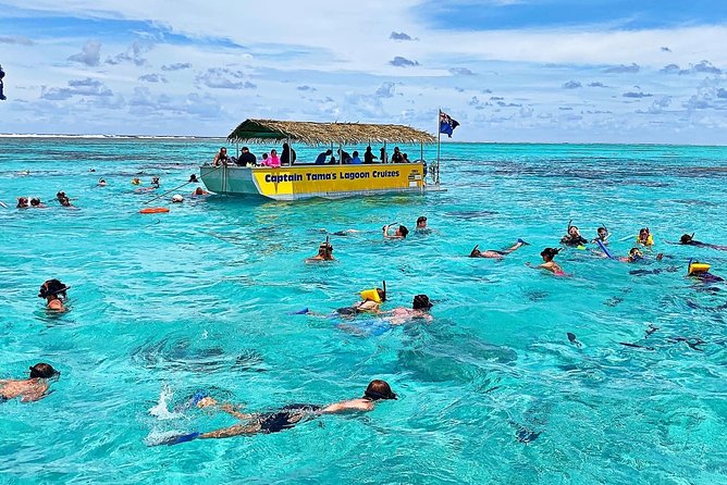Half-Day Muri Lagoon BBQ Lunch Cruise including Snorkeling - Charlie the moray eel is a small but memorable highlight