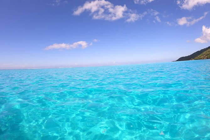 Half Day Private Boat Snorkeling Excursion Moorea - Dolphin watching is a bonus, not a promise
