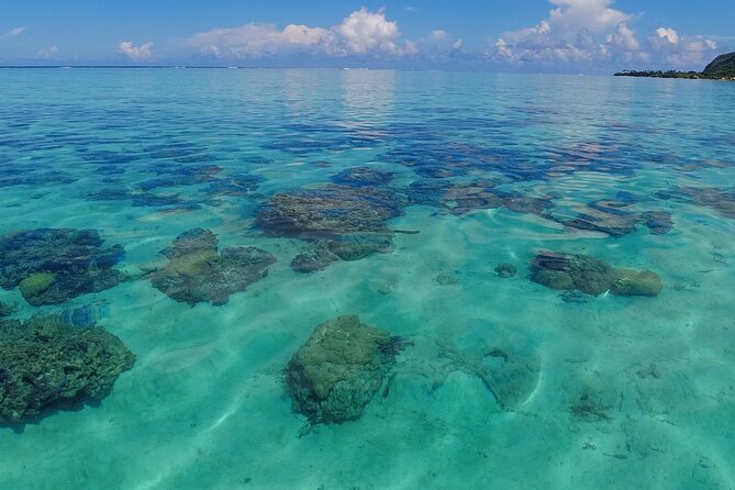 Half Day Private Boat Snorkeling Excursion Moorea - Meeting point, pickup, and the important vessel question