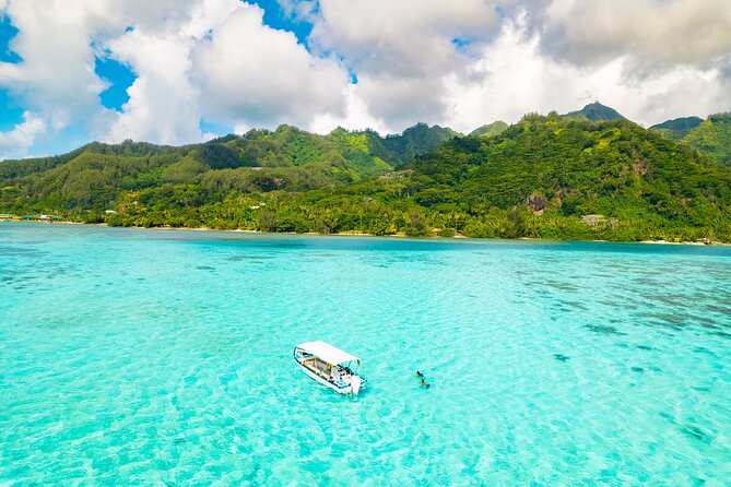 Half Day / Private Lagoon Adventure in Mo'orea - Why this private lagoon trip works so well