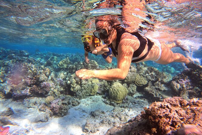 Half Day / Private Lagoon Adventure in Mo'orea - What the $668.05 price really means