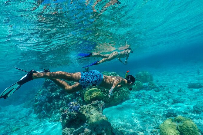 Half Day Private Lagoon Snorkeling Experience - Seeing Bora Bora from a private motorized canoe