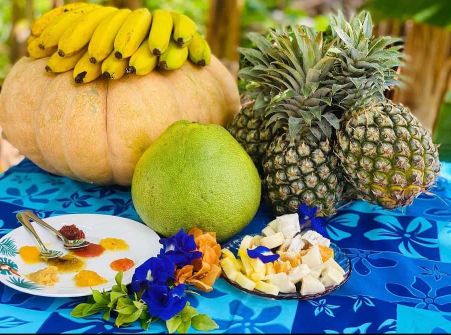 Half day Private tour of Moorea Safari Albert Pick up hotel - Key points to know before you book