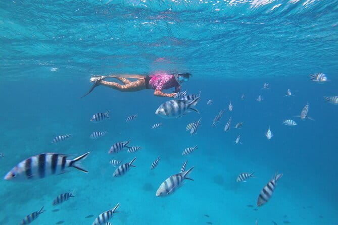 Half-Day Sailing Trip on the Lagoon of Tahiti Comments - The captain makes the difference