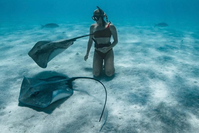 Half Day Snorkeling in Moorea - What the guides add to the day