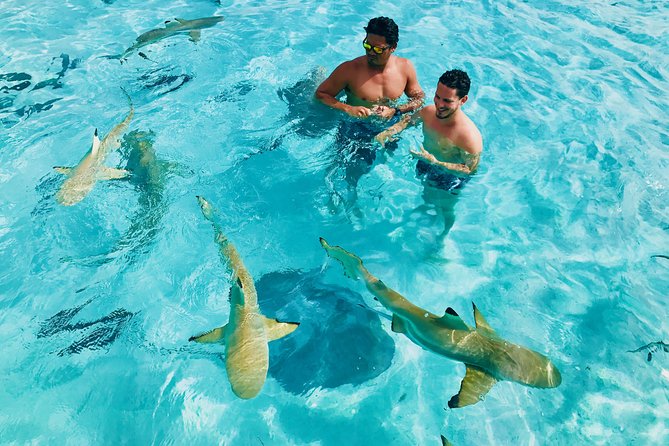 Half Day Snorkeling in Moorea - Starting at 8:30 a.m. with Corallina Tours