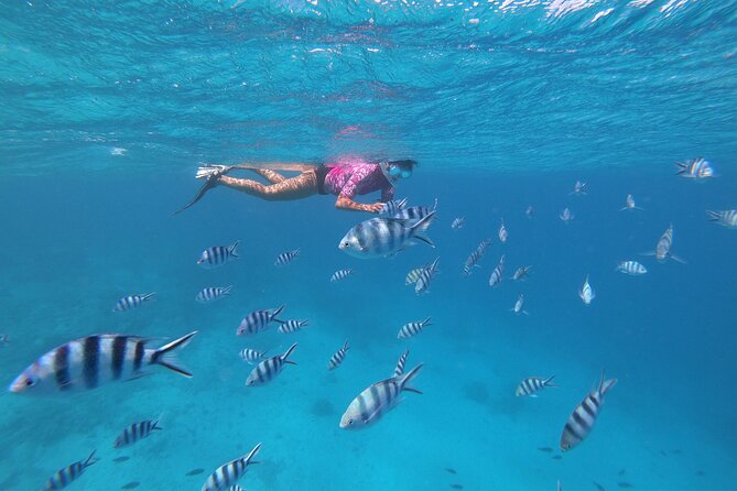Half-Day Snorkeling Tour in Tahiti - Weather controls the day