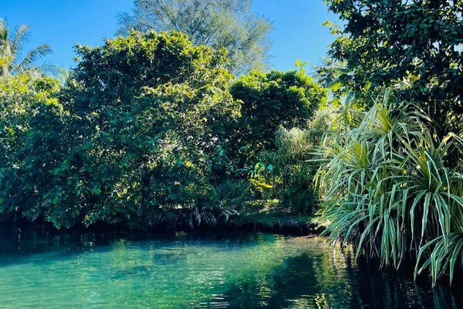 Half day Tahiti Peninsula and Teahupoo boat tour (shared boat) - What the three to four hours feel like