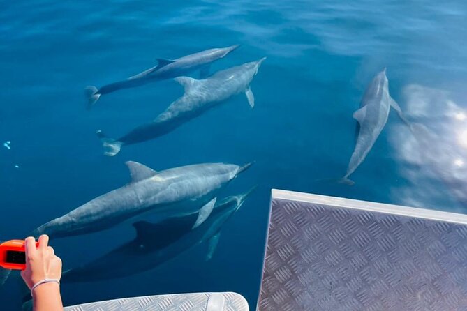Half day Tahiti Peninsula and Teahupoo boat tour (shared boat) - Who will enjoy this Tahiti boat tour most?