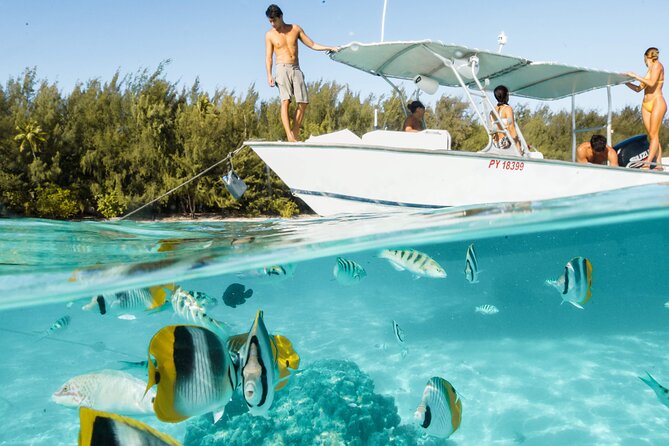 Half Day Tour lagoon discovery marine fauna flora small group - Why this Moorea boat trip feels different