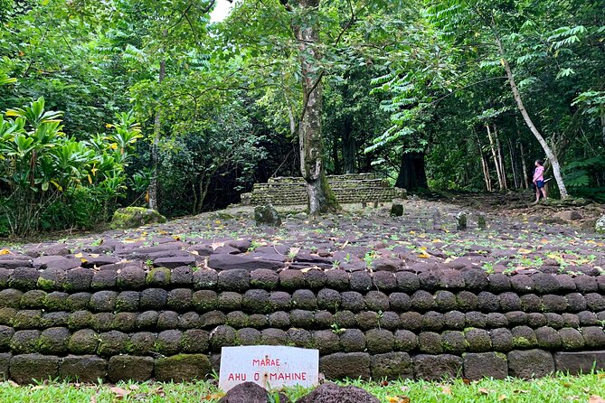 Half-Day Tour of Moorea Island in a Small Group - Why this half-day tour works well on Moorea