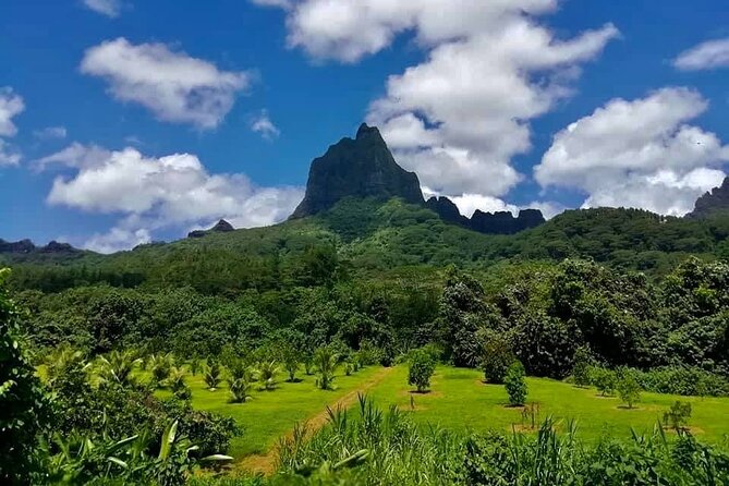 Half-Day Tour of Moorea Island in a Small Group - The guides can shape the whole experience