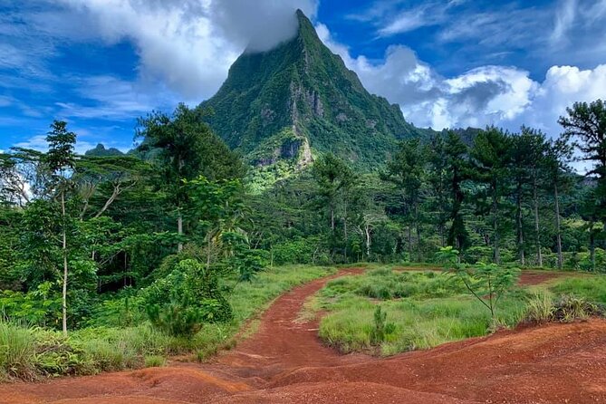 Half-Day Tour of Moorea Island in a Small Group - Cook’s Bay, with room for flexible stops