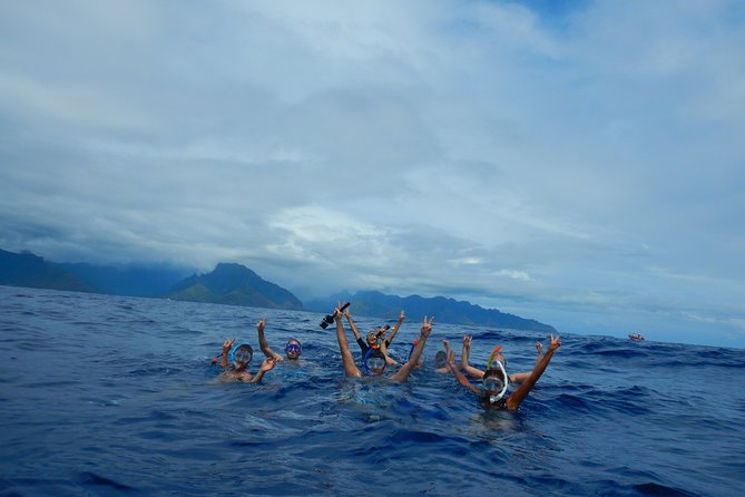 Half day whale tour 4h00 - The lagoon finish adds a useful second act