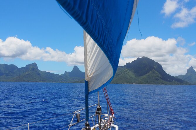 Half day whale watching - Without launch - A private way to see Moorea from the Pacific
