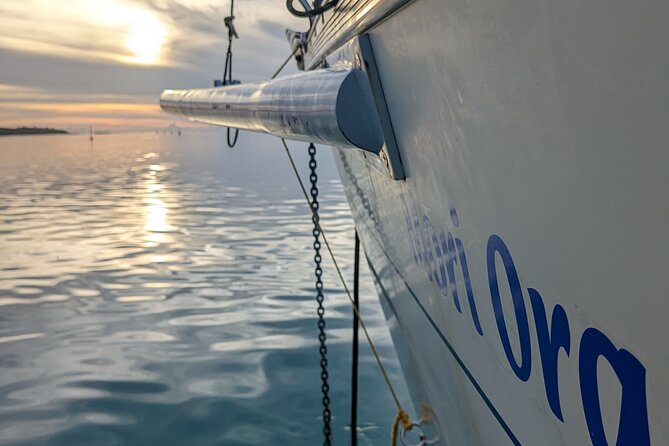 Half day whale watching - Without launch - The crew and the feel on board