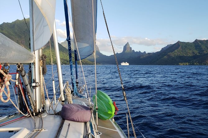 Half day whale watching - Without launch - Who will enjoy this most