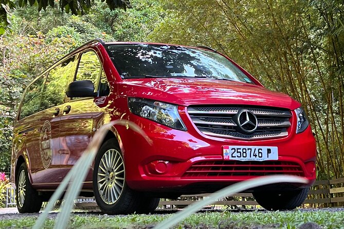 International private transfer, arrival departure, airport pier hotel rental - The vehicle and luggage arrangements