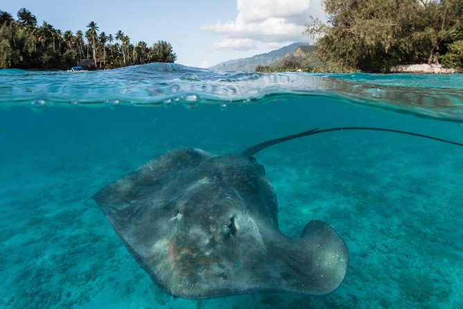 Introduction to sailing and discovering the lagoon - Food, drinks, and the value of a half-day